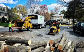 Reliable Council Grove, KS Tree Removal and Landscaping Services Solutions